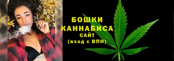 прущий лед Пестово