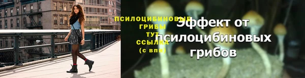 кокс Пересвет