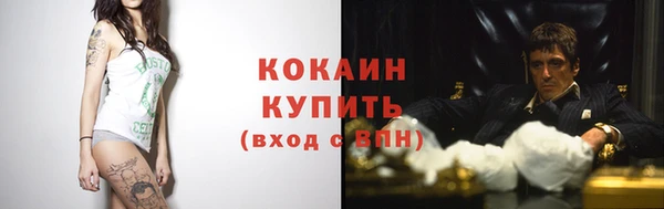 прущий лед Пестово