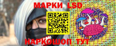 Альфа ПВП Заволжье