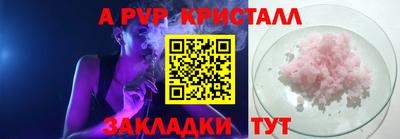 мет Кингисепп