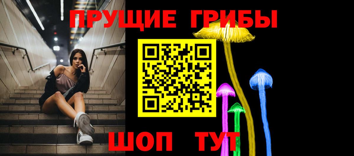 Псилоцибиновые грибы GOLDEN TEACHER  Вход с VPN  Урай  купить закладку  Псилоцибиновые грибы мицелий 